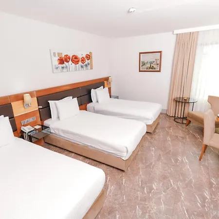 Otel Armıs 4*