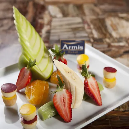 Hotel Armis 4*