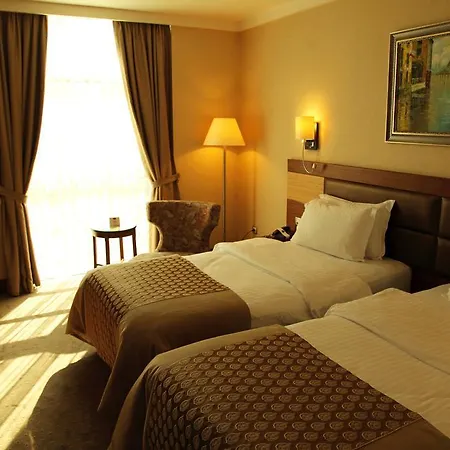 Armis Hotel 4*
